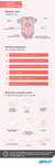 Budowa_skory.jpg JELP_infografika_1_budowa_skory.jpg